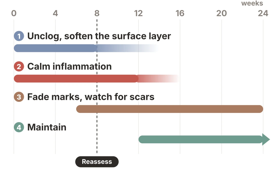 Timeline of the four stages of back acne treatment by week: unclogging and calming inflammation start together in the first week, fading marks and watching for scars once inflammation settles, maintenance once the back is clear, with a reassessment point around week 8
